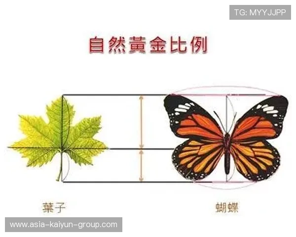 职业画家构图张力平衡计算：他是如何通过黄金比例分割的